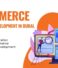 Empower Your Business: E-Commerce Website Development in Dubai.